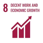Sustainable Development Goal 8