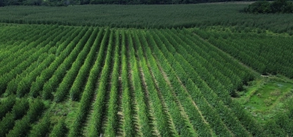 Agrochemicals Use Policy