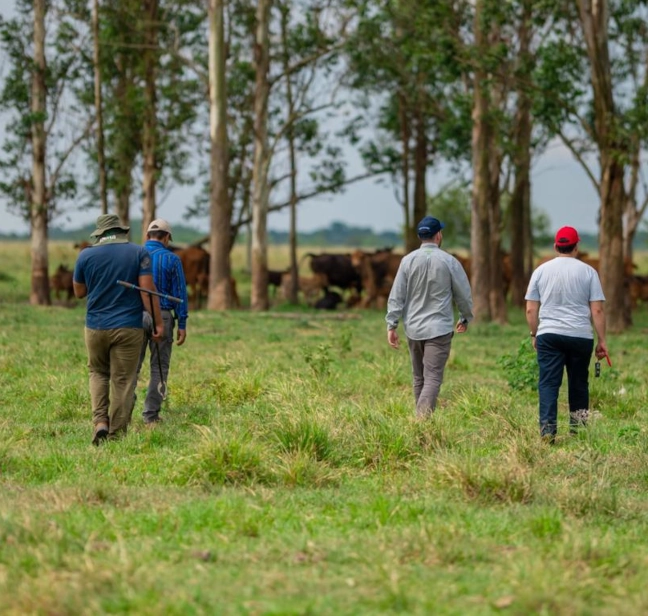 FLS field assessment in Paraguay
