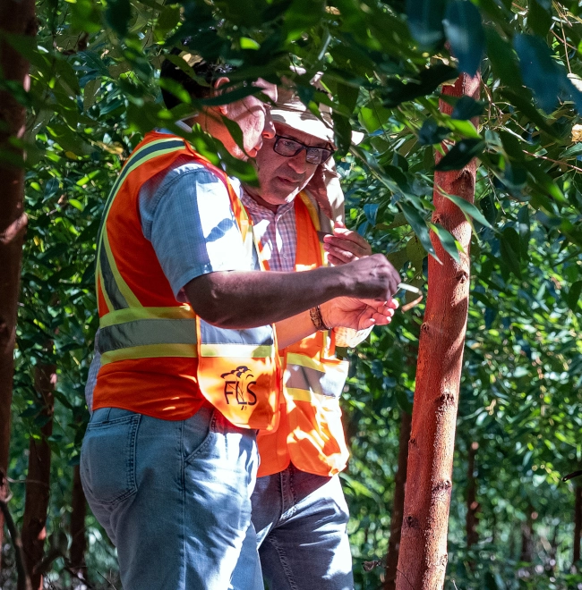 FLS forestry project field work