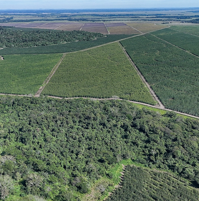Aerial view of Project Midgard