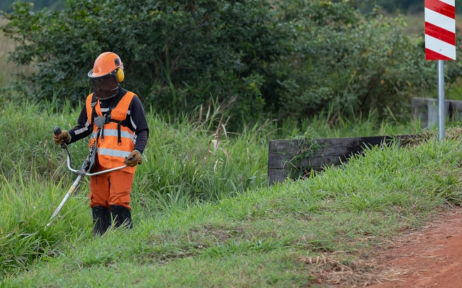 FLS forestry project