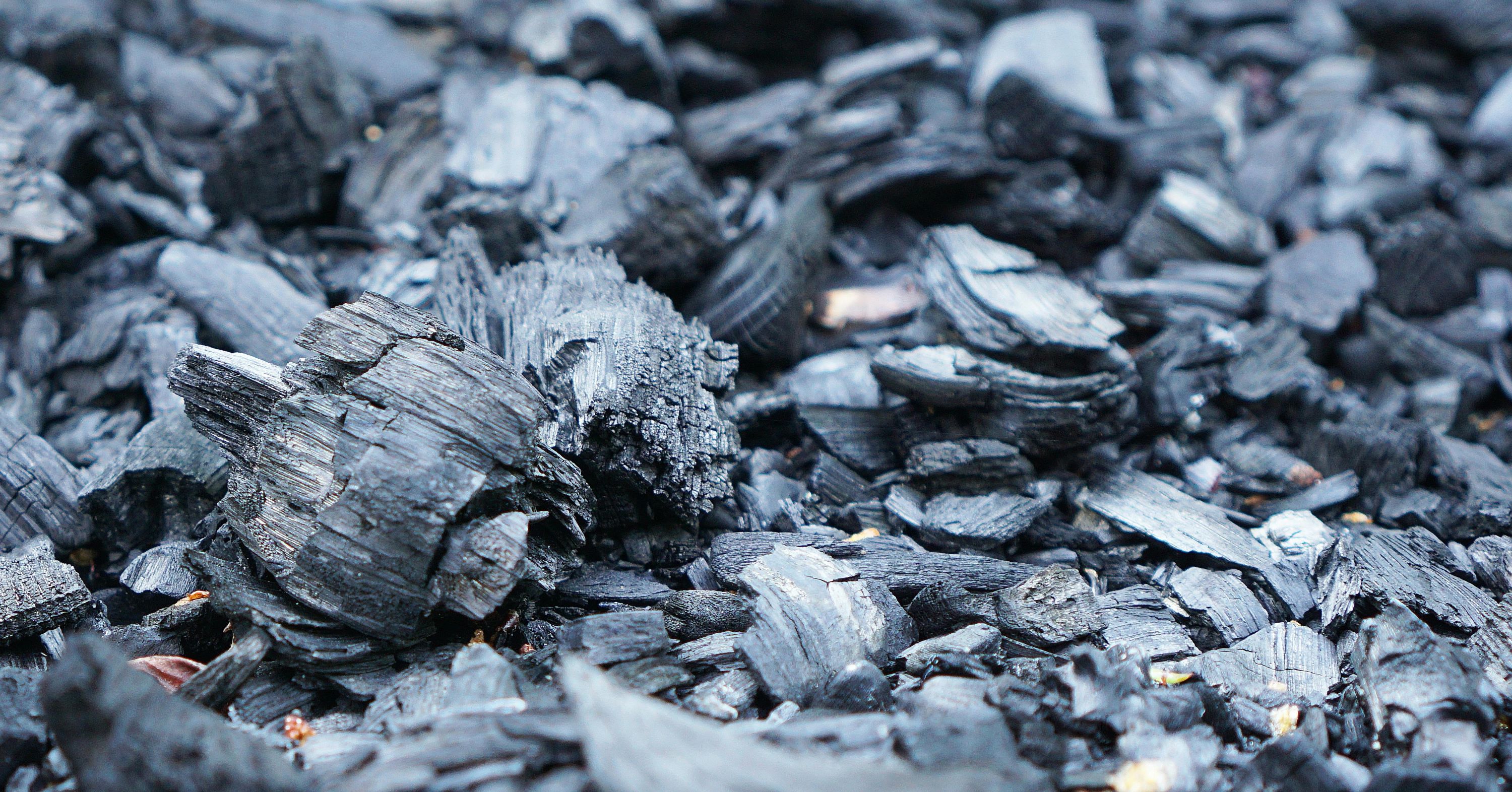 Biochar